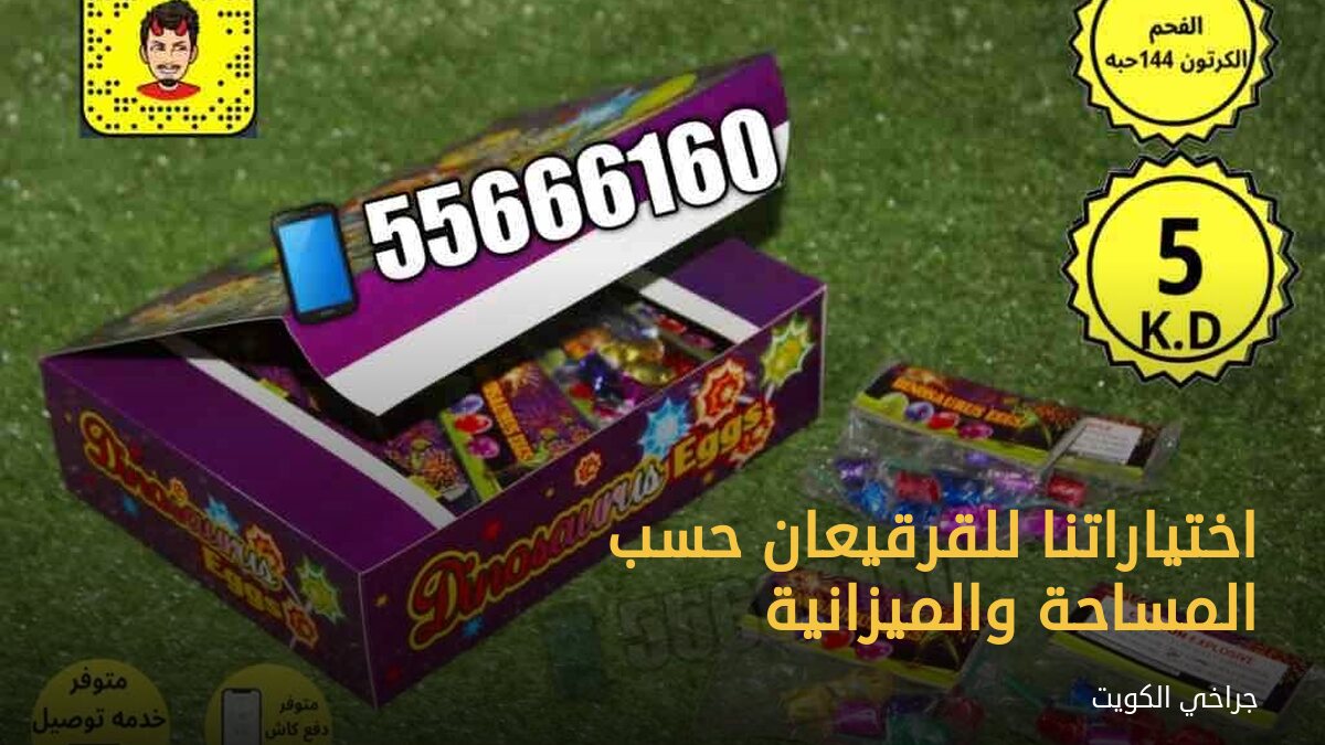اختياراتنا للقرقيعان حسب المساحة والميزانية