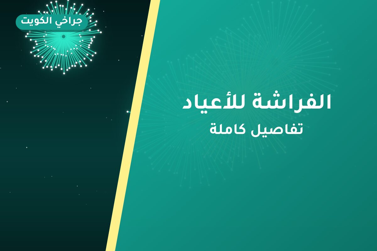 الفراشة للأعياد: السعر والاستخدام الآمن وأفضل المناسبات
