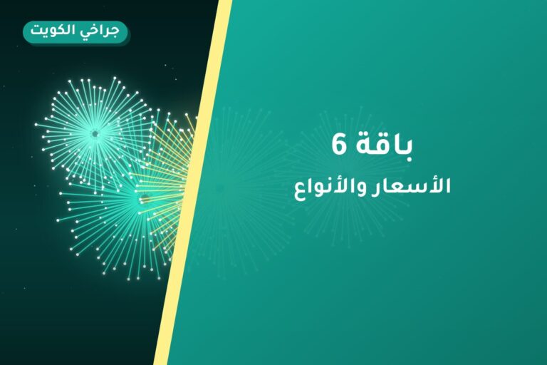 دليل باقة 6: كل ما تحتاج معرفته قبل الطلب