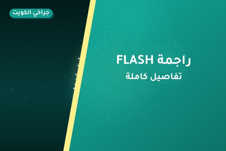 راجمة FLASH: السعر والاستخدام الآمن وأفضل المناسبات