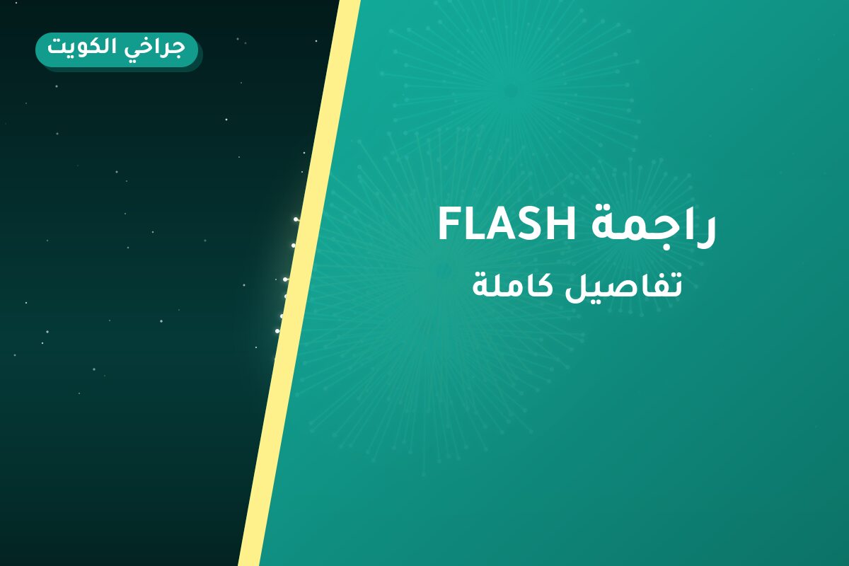 راجمة FLASH: السعر والاستخدام الآمن وأفضل المناسبات