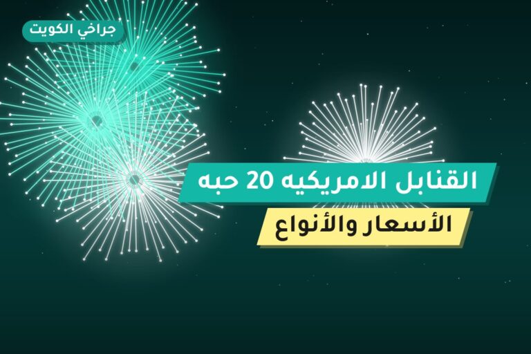 القنابل الامريكيه 20 حبه في الكويت — السعر والتفاصيل