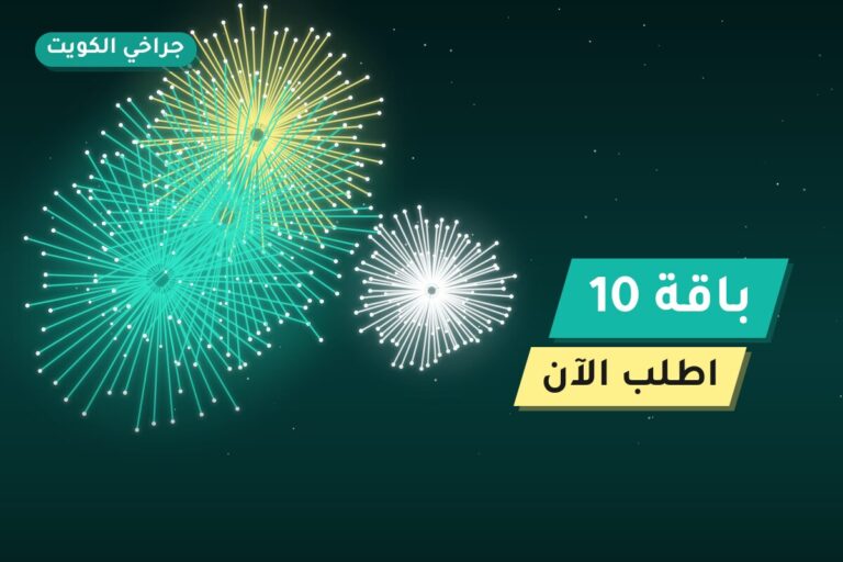 دليل باقة 10: كل ما تحتاج معرفته قبل الطلب