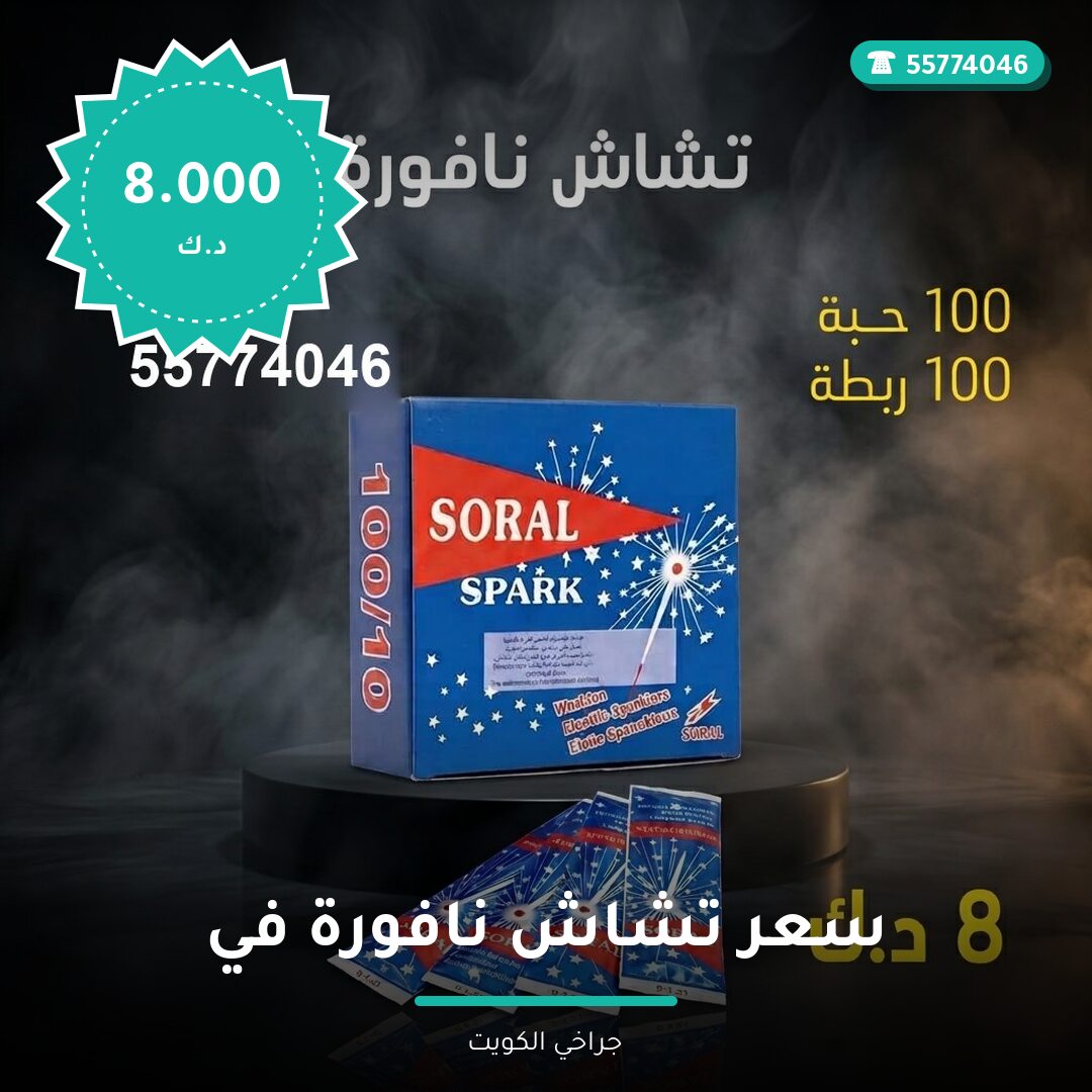 سعر تشاش نافورة في السالمية في الكويت — السعر والتفاصيل