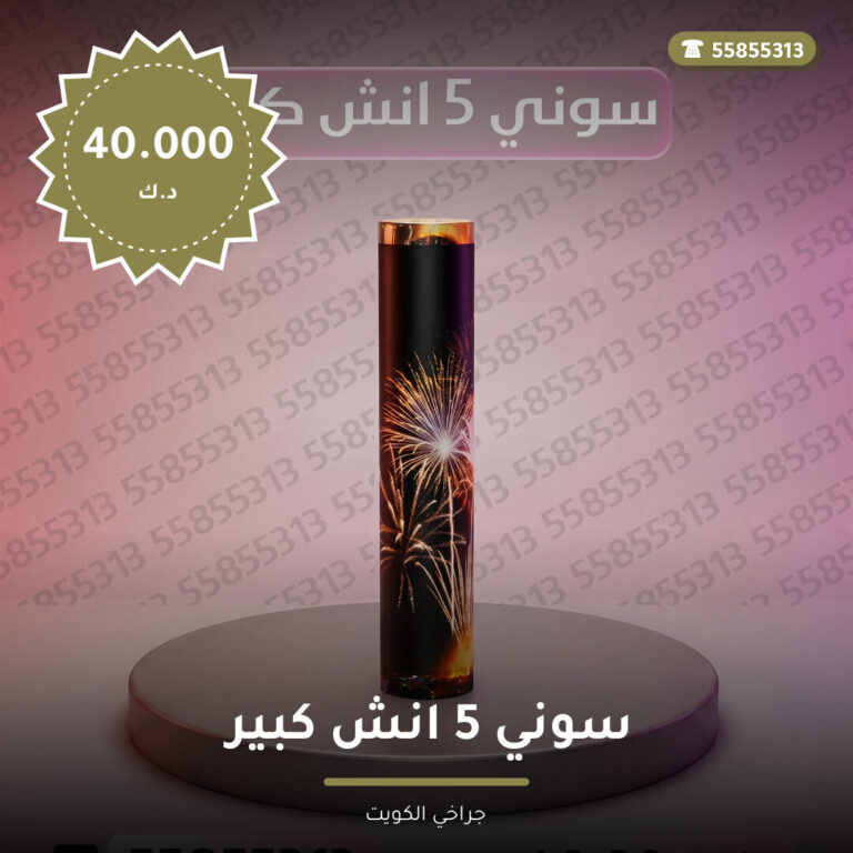 سوني 5 انش كبير: السعر والاستخدام الآمن وأفضل المناسبات