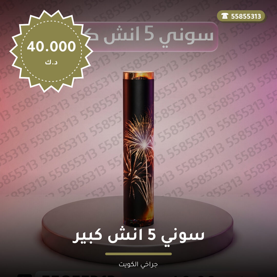 سوني 5 انش كبير: السعر والاستخدام الآمن وأفضل المناسبات
