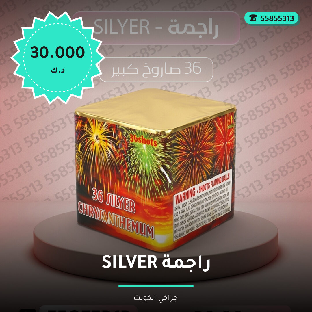 دليل راجمة SILVER: كل ما تحتاج معرفته قبل الطلب