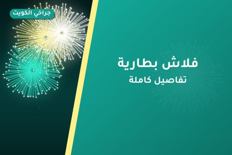 فلاش بطارية: السعر والاستخدام الآمن وأفضل المناسبات