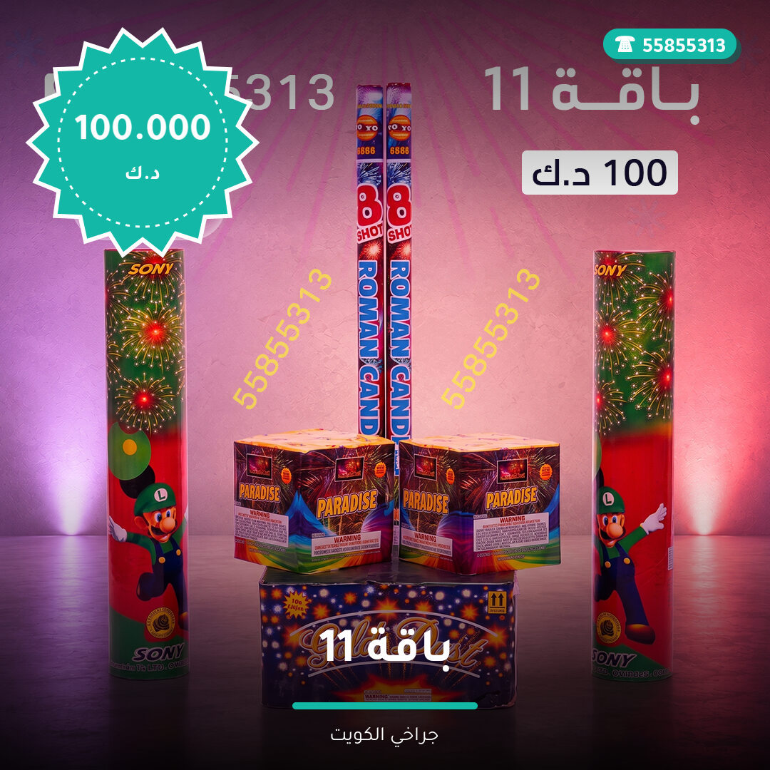 دليل باقة 11: كل ما تحتاج معرفته قبل الطلب