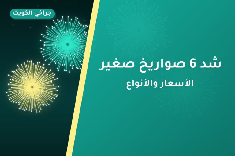 شد 6 صواريخ صغير: السعر والاستخدام الآمن وأفضل المناسبات